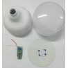 Tip top traders offer best led bulb kit in gamma model.