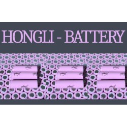 State of art hongli battery for ac dc bulbs