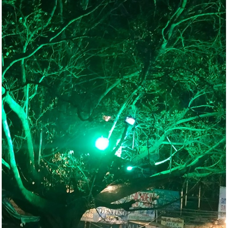 Green flood light