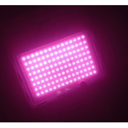 Pink Floodlight