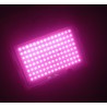 Pink Floodlight